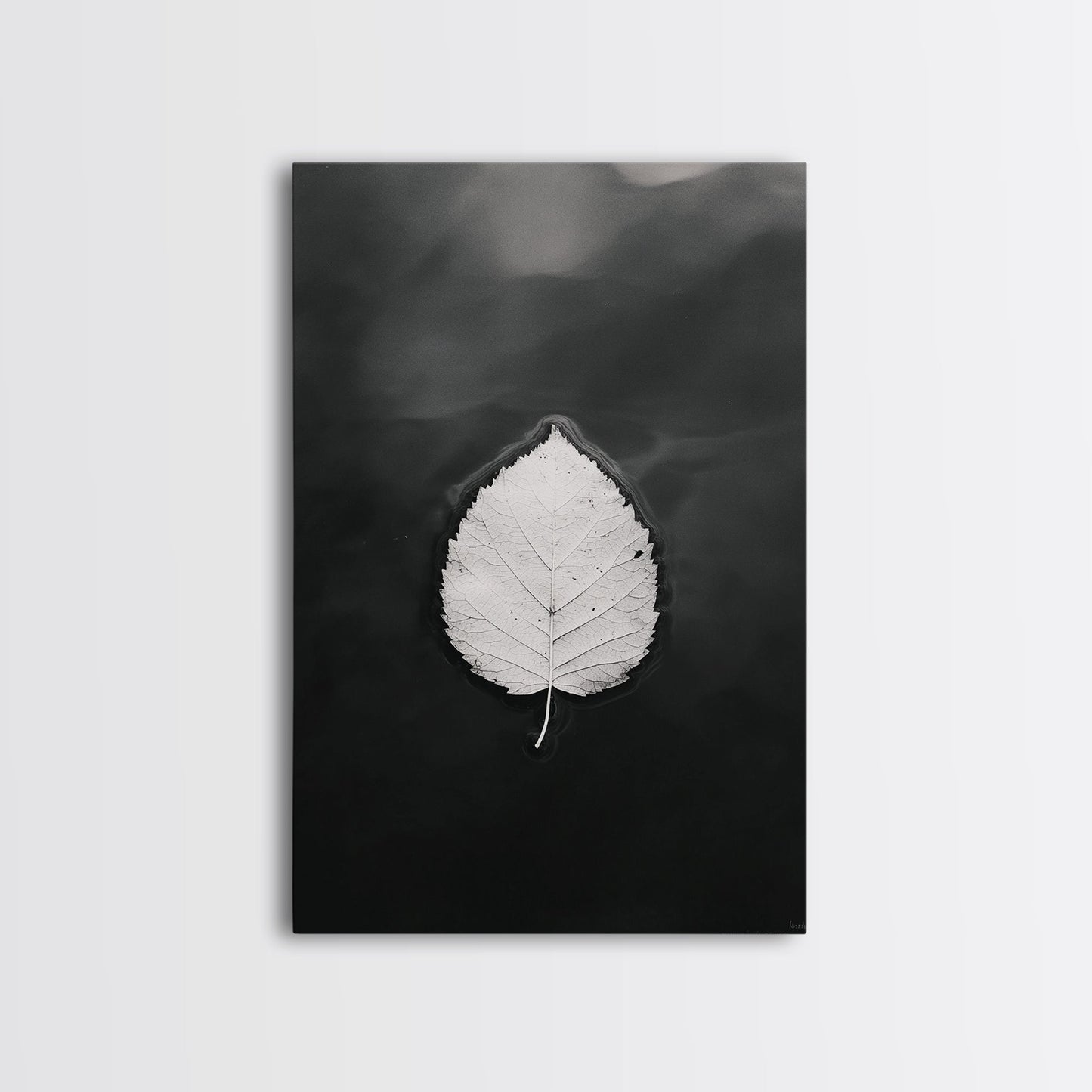 Floating Leaf, Still Water, Autumn Calm, Canvas Print