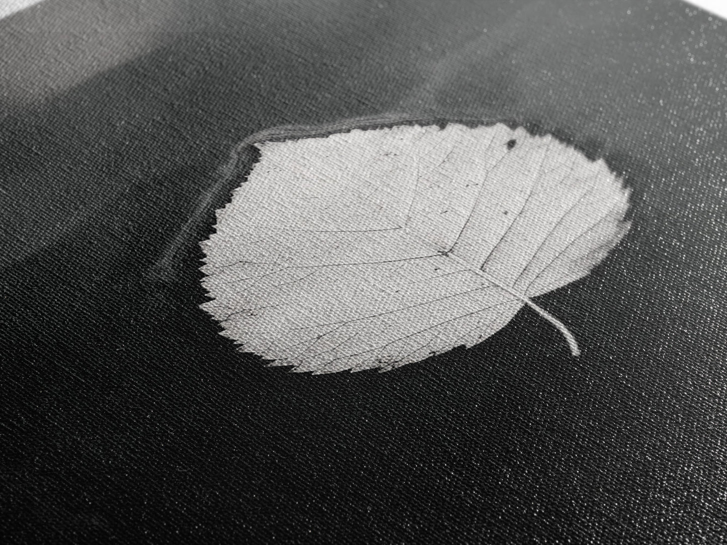 Floating Leaf, Still Water, Autumn Calm, Canvas Print