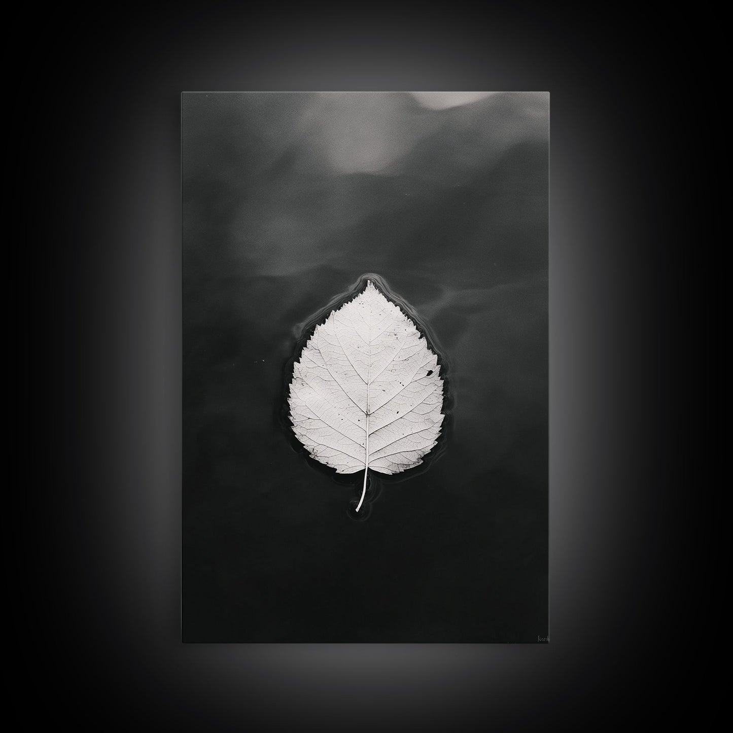 Floating Leaf, Still Water, Autumn Calm, Canvas Print