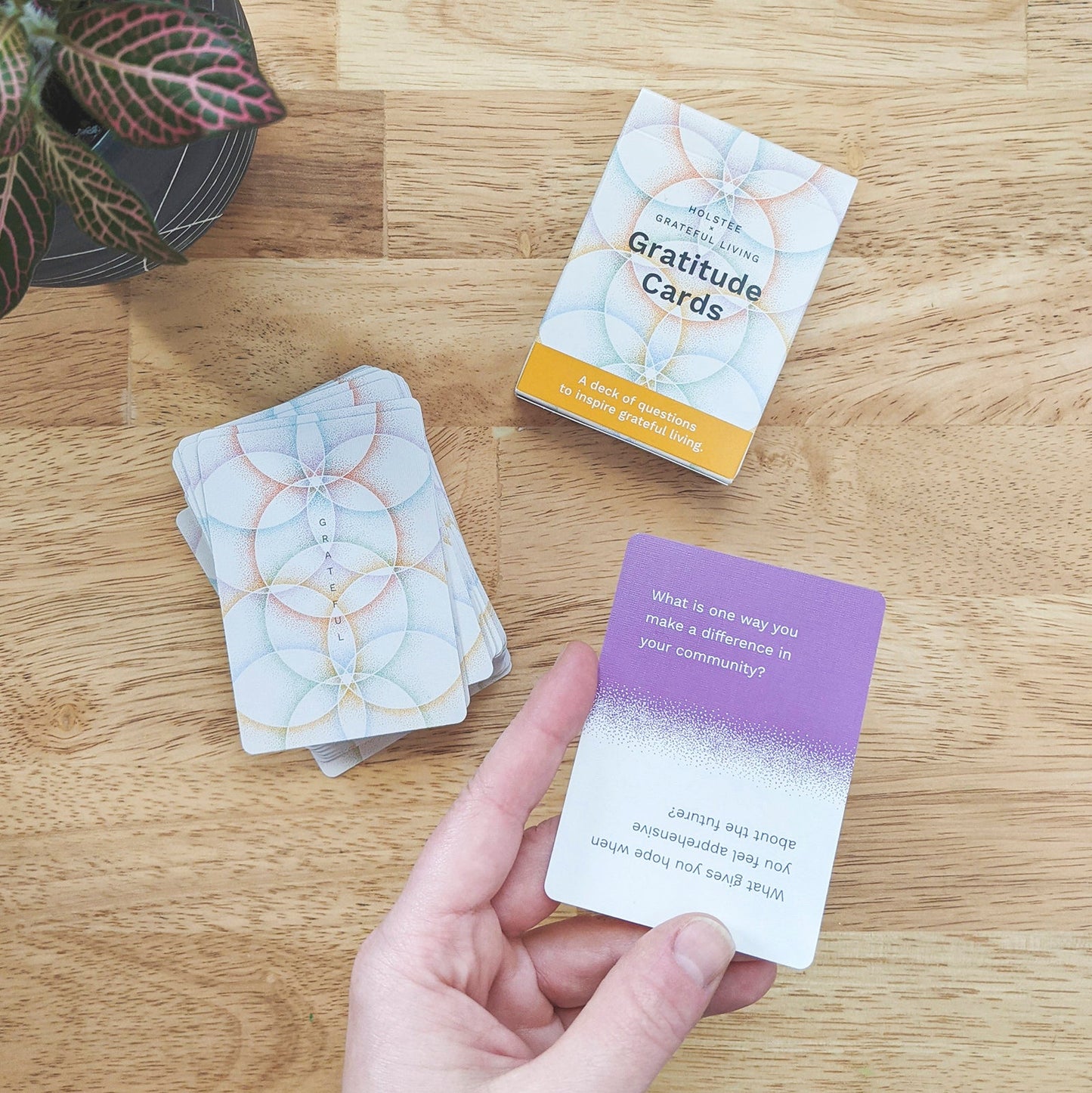 Gratitude Cards
