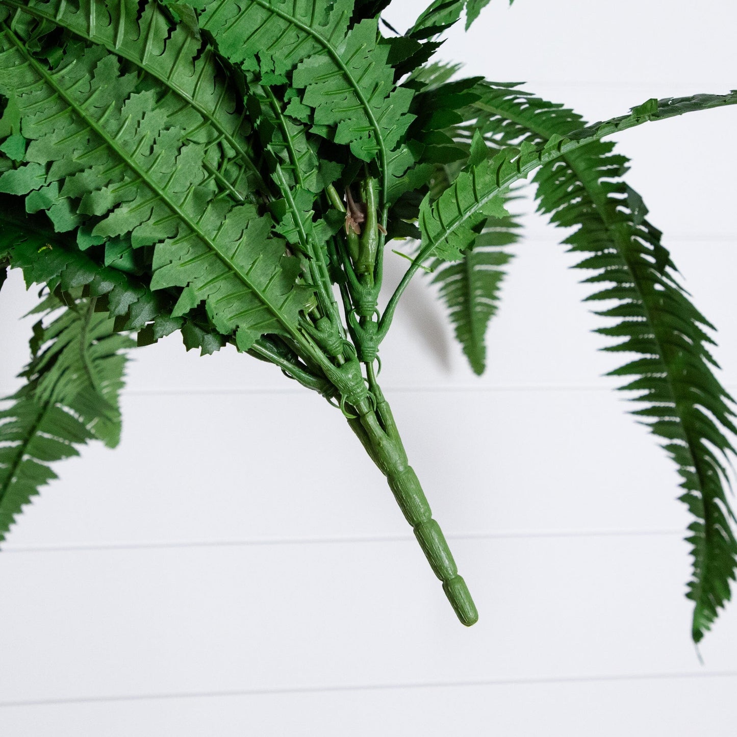 48” Boston Fern - Set of 2