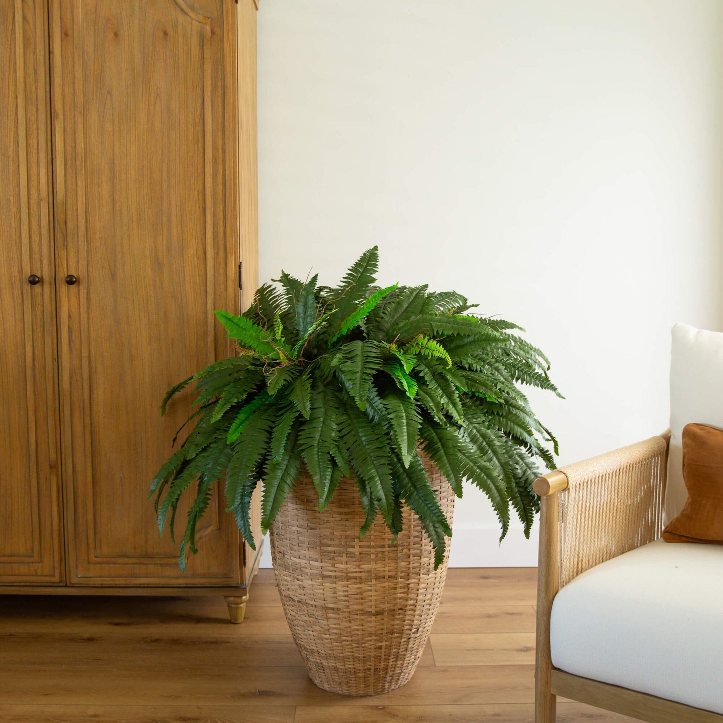 48” Boston Fern - Set of 2