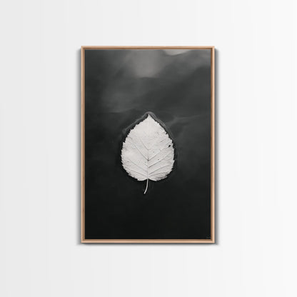 Floating Leaf, Still Water, Autumn Calm, Canvas Print