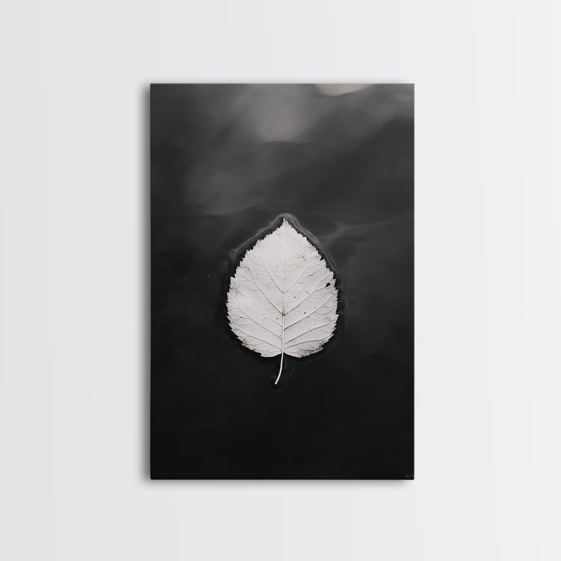 Floating Leaf, Still Water, Autumn Calm, Canvas Print