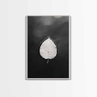 Floating Leaf, Still Water, Autumn Calm, Canvas Print