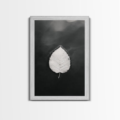 Floating Leaf, Still Water, Autumn Calm, Canvas Print