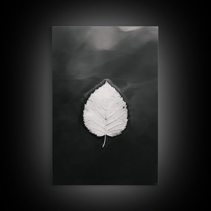 Floating Leaf, Still Water, Autumn Calm, Canvas Print