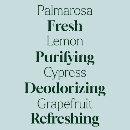 Deodorizing Powder